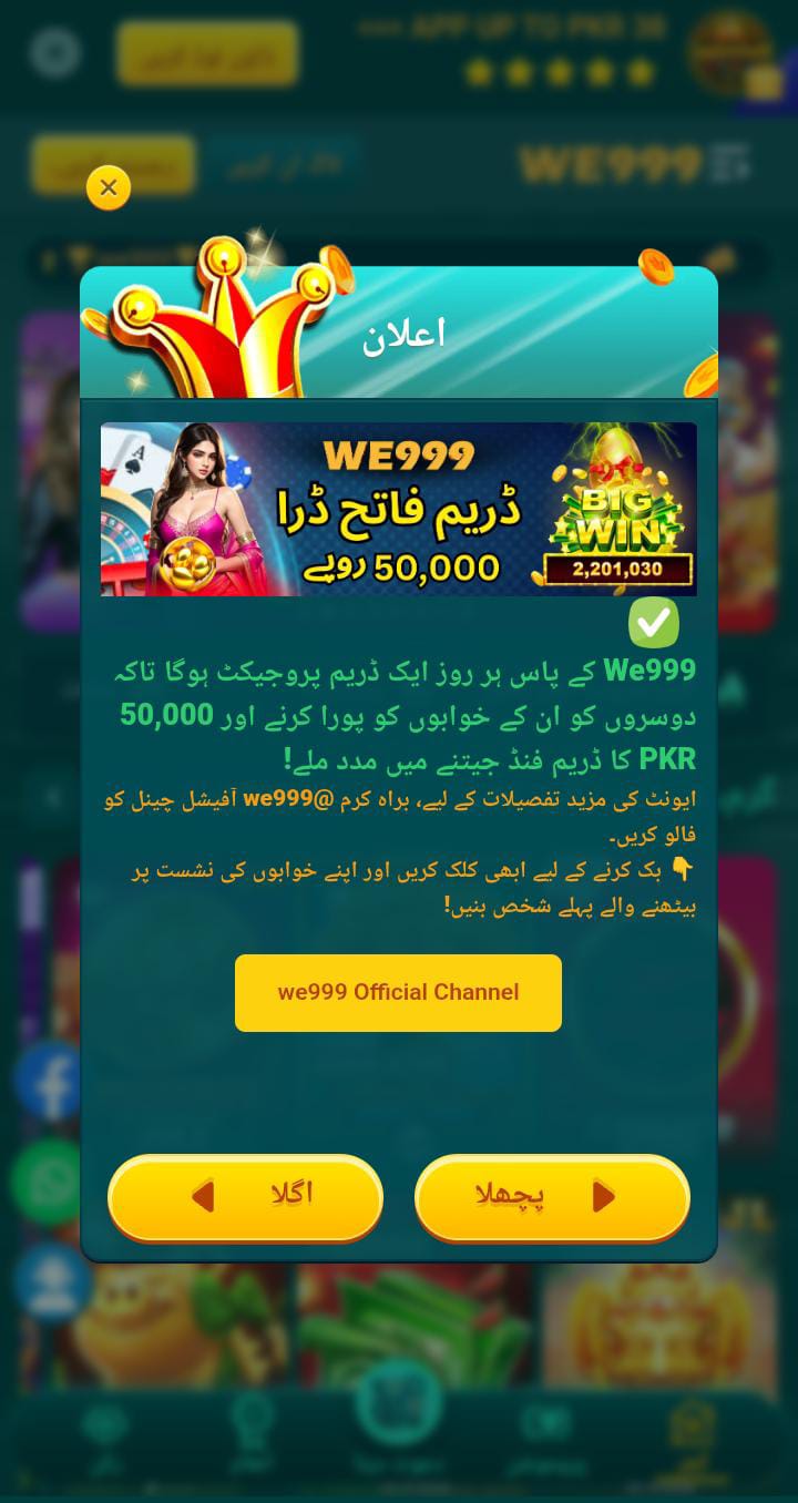 WE999 image (2)