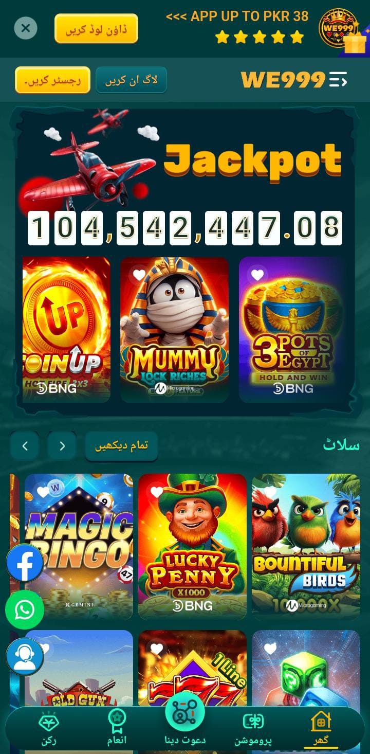 WE999 image (4)